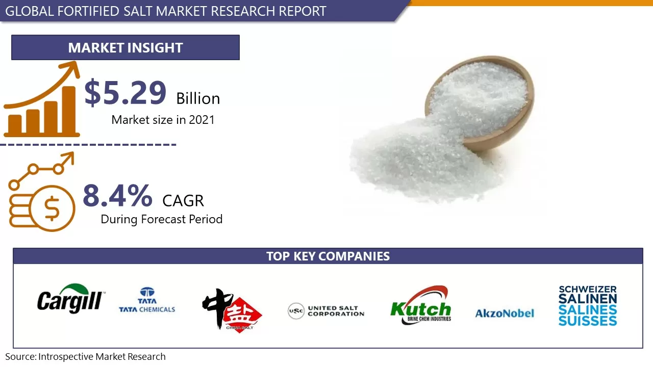 Fortified Salts Market to reach 9.30 USD Billion By 2028