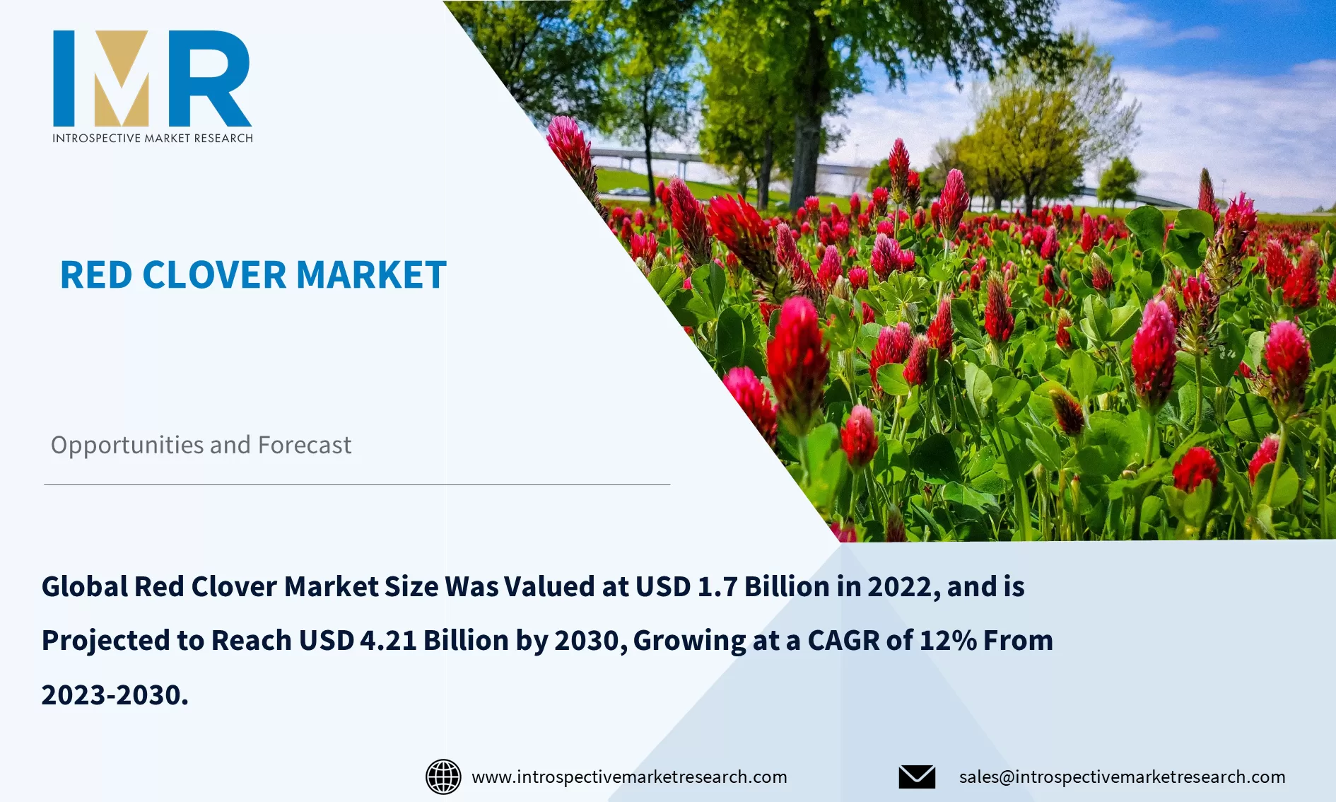 Red Clover Market To Reach USD 4.21 Billion by Year 2030
