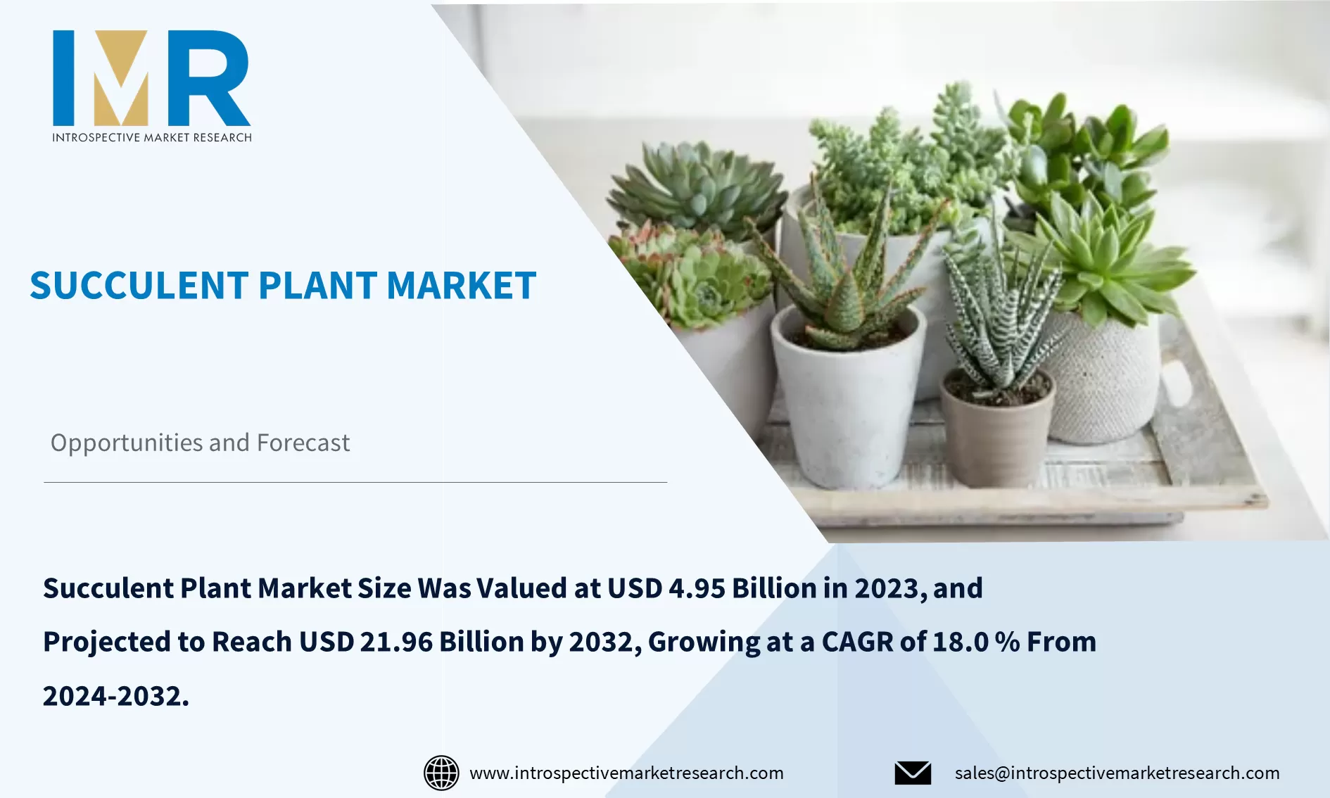 Succulent Plant Market To Reach USD 21.96 Billion By Year 2032