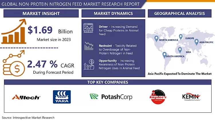 Non-protein Nitrogen In Feed Market- In Depth Analysis By Market Share And Growth Rate (2024-2032)