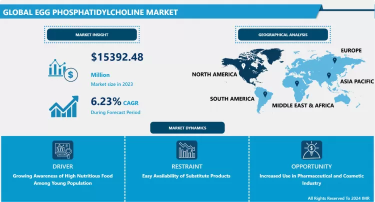 Egg Phosphatidylcholine Market - In-Depth Insights & Analysis 2024-2032