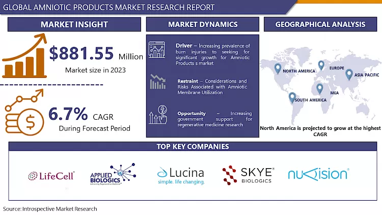 Amniotic Products Market - In-Deep Analysis Focusing On Market Share 2024-2032