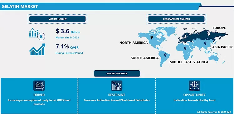 Gelatin Market -Overview And Outlook By Potential Growth