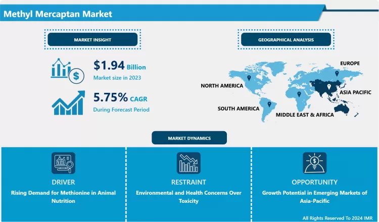 Methyl Mercaptan Market: Global Outlook & Market Dynamics
